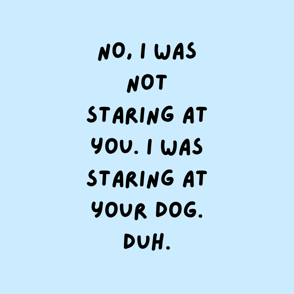 A round, 2-inch fridge magnet with text on a light blue background stating 'No, I was not staring at you. I was staring at your dog. Duh.'