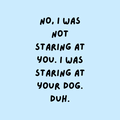 A round, 2-inch fridge magnet with text on a light blue background stating 'No, I was not staring at you. I was staring at your dog. Duh.'