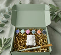 Paintable ceramic panda figurine kit with paintbrush and assorted paint colors