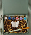 Paintable ceramic butterfly figurine kit with paintbrush and assorted paint colors