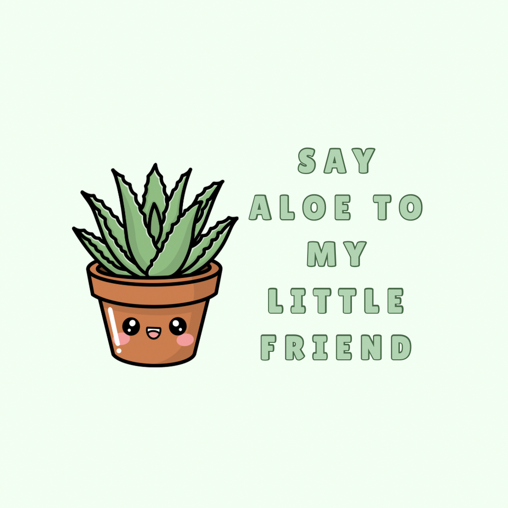 A round, 2-inch fridge magnet featuring a cartoon aloe plant in a pot with sage green text that reads, 'Say aloe to my little friend,' on a light green background
