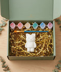 Paintable ceramic cat figurine kit with paintbrush and assorted paint colors