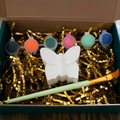 Paintable ceramic butterfly figurine kit with paintbrush and assorted paint colors